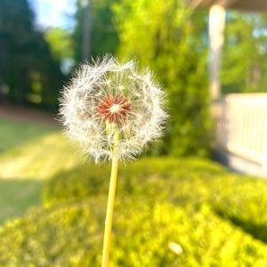 Meet your Posher, Tamara